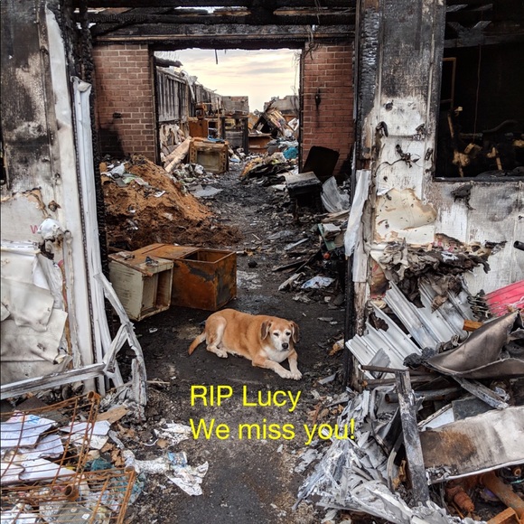 Meet your Posher, Rebecca - Picture 9 of 14